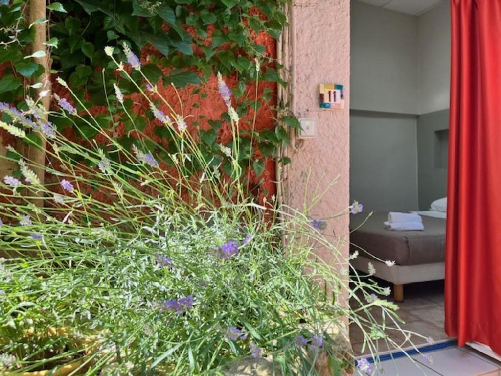 Hotel Le Colbert Avignon Luaran gambar